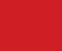RAL 3020 színezőpaszta  – közlekedési piros